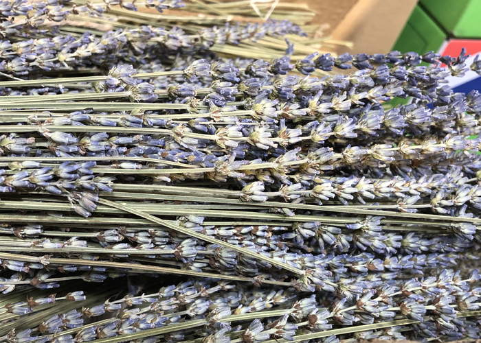 Dried flowers - Lavendel