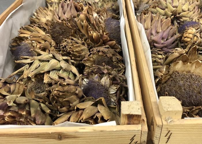 Dried flowers - Artichoke