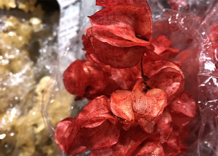 Dried flowers - Bougainvillea dyed red