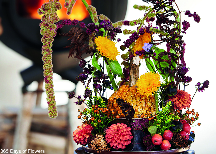 Halloween Inspiration - Autumn Inspiration - Ornamental fruit - Pumpkin (6)