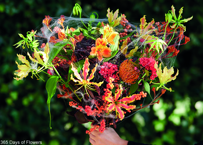 Halloween Inspiration - Autumn Inspiration - Ornamental fruit - Pumpkin (7)