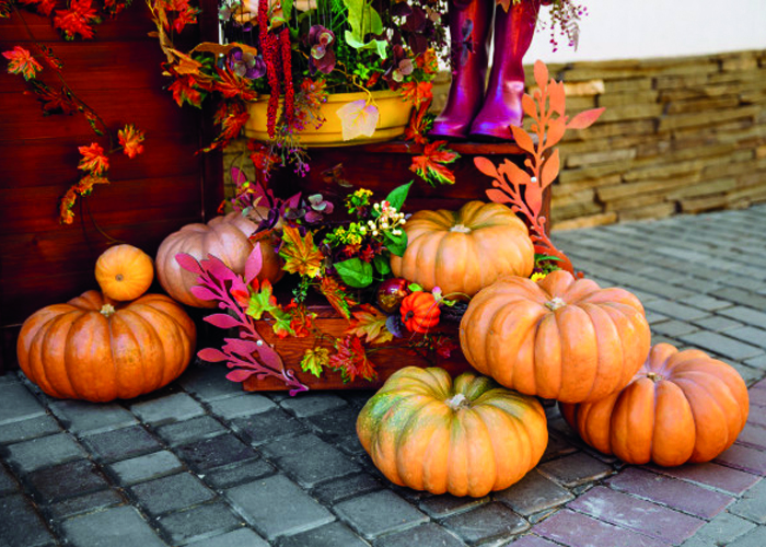 Halloween Inspiration - Autumn Inspiration - Ornamental fruit - Pumpkin (8)