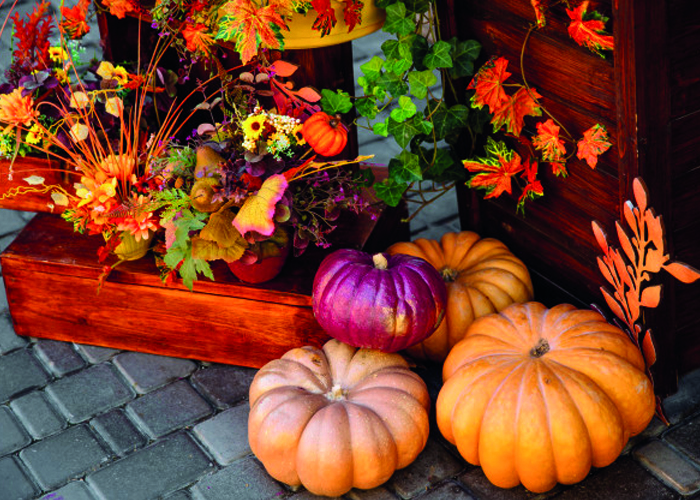 Halloween Inspiration - Autumn Inspiration - Ornamental fruit - Pumpkin (9)
