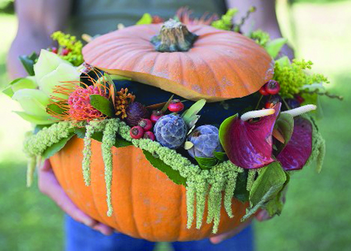 Halloween Inspiration - Autumn Inspiration - Ornamental fruit - Pumpkin