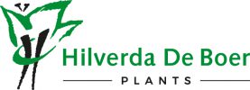 logo HDB Plants 700px