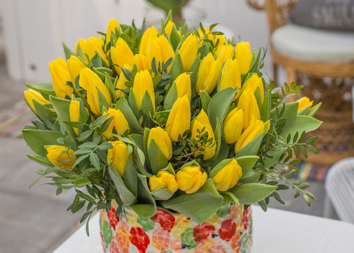 Strong_Gold_Hobaho tulips yellow