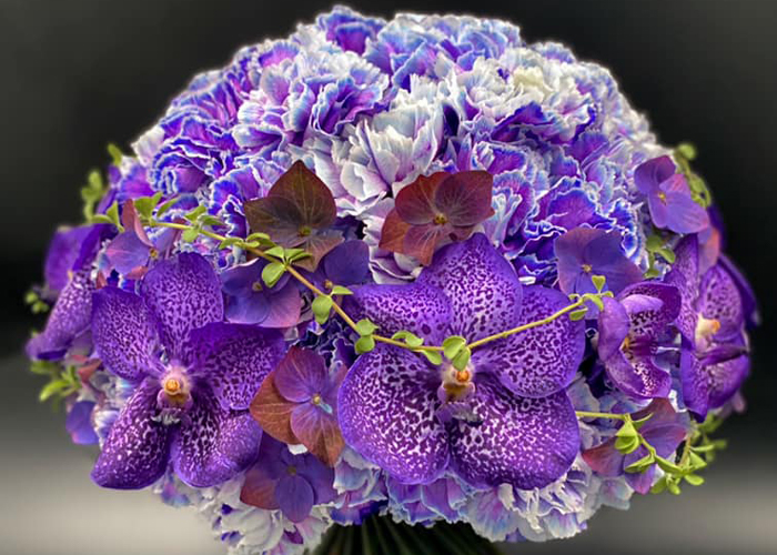 Carnation purple inspiration
