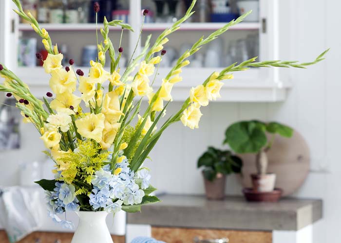 bloemenbureau-gladiolus-te_gebruiken_tot-2023-02-11 (1) b