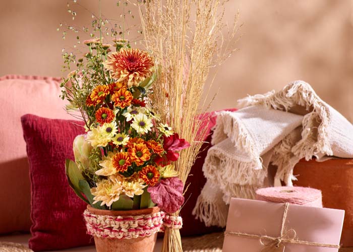 Chrysanthemum Inspiration Autumn Concept Factor (9)