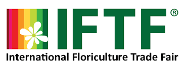 IFTF-Logo