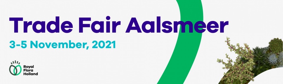 tradr-fair-2021